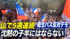 仏で衛生パス反対デモ「黙って話を聴くだけの子羊にはならない」