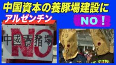 アルゼンチンで中国資本の養豚場建設 市民は環境汚染を懸念