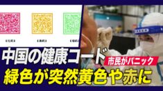 中国の健康コードアプリに異変 緑色が突然黄色や赤色に