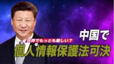 中国で厳しい個人情報保護法が可決 11月施行へ