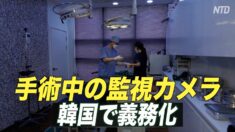 韓国 手術中の監視カメラを義務化