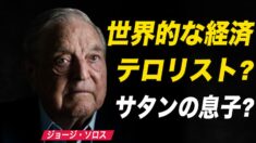 「サタンの息子」官制メディアが対中批判のソロス氏を非難