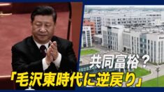 共同富裕？「毛沢東時代に逆戻り」