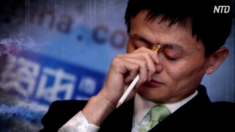 アリババが「共同繁栄」政策に巨額の資金を提供【禁聞】