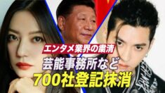 エンタメ業界の粛清 芸能事務所など700社が登記抹消