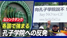 「各国での孔子学院への反発強まる」＝仏シンクタンク
