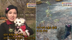 “개는 주인이 위기에 처했을 때, [자기부터 살고 본]다” (영상)