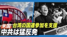 米国 台湾の国連参加を支援 中共は猛反発