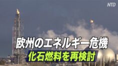 欧州のエネルギー危機 化石燃料を再検討