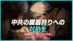 「中共の臓器狩りへの対処を」米議会に呼びかける