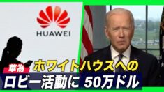 ファーウェイ ホワイトハウスへのロビー活動に50万ドル支出