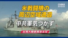 「米戦闘機の周辺空域通過に中共軍気づかず」台湾大陸委員会主任