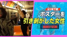 NY地下鉄車内でポスターを引き剥がした女性