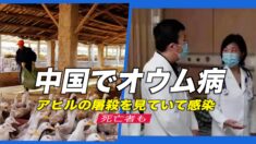 中国で「オウム病」 アヒルの屠殺を見ていて感染