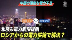 中国の深刻な電力不足　ロシアからの電力供給で解決か？