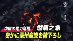 中国で続く電力制限 中共が豪州の石炭輸送船から荷下ろしを開始【禁聞】