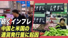 続くインフレ 専門家「中国と米国の通貨発行量に起因」