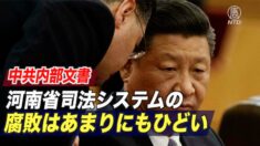 中共内部文書「河南司法システムの腐敗はあまりにもひどい」