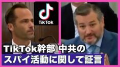 TikTok幹部 中共のスパイ活動に関して証言