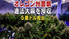 オレゴン州警察 ５億ドル相当の違法大麻を押収