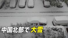 北京などで吹雪 予想よりも早く到来