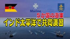 ５か国の海軍 インド太平洋で共同演習