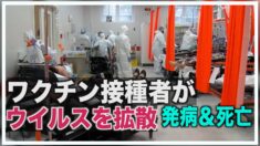 ワクチン接種者がウイルスを拡散 発病・死亡