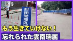 「もう生きていけない」忘れられた雲南瑞麗【禁聞】