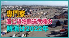 専門家「海上貨物輸送危機の解消は2022年」