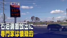 石油備蓄放出に懐疑的＝石油問題専門家