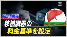 河南省が移植臓器の料金基準を設定 専門家「人々の目をそらすため」【禁聞】