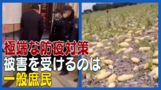 中国の極端な防疫対策 被害を受けるのは庶民