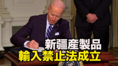 新疆産製品の全面的な輸入禁止法成立