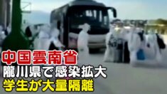 雲南省隴川で感染拡大 学生が大量隔離