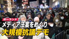 メディア法案をめぐり ポーランドで抗議デモ