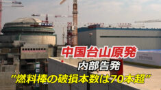 「燃料棒の実際の破損本数は70本超」台山原発巡り内部告発