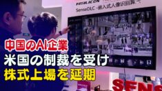 中国のAI企業 米国の制裁を受けてIPOを延期