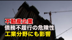 中国不動産企業に債務不履行の危険性 工業分野にも影響が波及【禁聞】