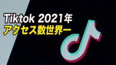 2021年アクセス数世界一はTiktok
