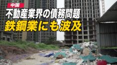 中国不動産業界の債務問題 鉄鋼業にも波及