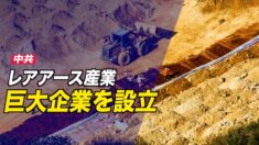 中共 国有レアアース巨大企業を設立