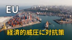 EU 経済的威圧への対抗策強化へ