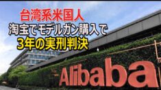 モデルガン購入で「法律違反」中国で３年の実刑判決