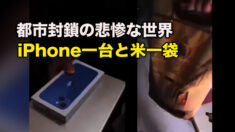 都市封鎖の悲惨な世界を伝える西安版『方方日記』