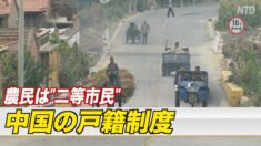 中国の戸籍制度とは