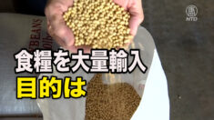 中共が食糧の大量輸入 目的は？【禁聞】