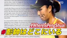 「彭帥はどこに」イェール大学が匿名文章掲載