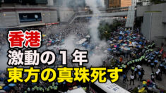 香港のシンボルが次々と撤去 進む香港人の海外移住【禁聞】