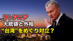 「台湾」名称使用過ち発言巡り 「大統領と外相の対立が原因」＝リトアニア議員