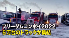 トラックの大行進 ５万台以上集結 マスク氏も支持